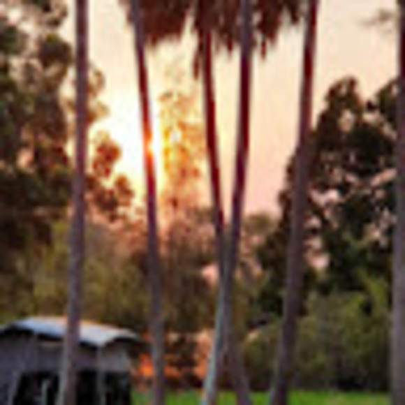 Profile Picture of Sarah Parramore (@sarahparramo778) on Poshmark