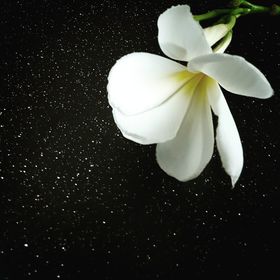 Profile Picture of Rozita Mahmood (@zetammood) on Pinterest