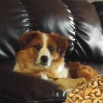 Profile Picture of Jason Tallent (@powert91) on Instagram