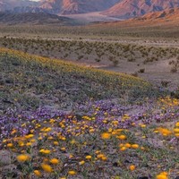 Profile Picture of Stephen Burns (@stephen-burns-82) on Quora