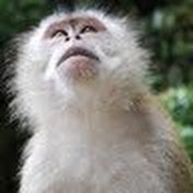 Profile Picture of Keith Slater (@retailmonkey1440) on Youtube