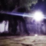 Brian Ramirez - Instagram Profile Picture of Brian Ramirez (@brayaneverardoramireza) on Instagram