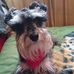 Profile Picture of Amelia Choque Quinto (@amelia.choquequinto.9) on Facebook
