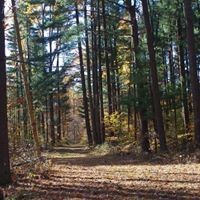 Profile Picture of David Mundy (@david-mundy-10) on Quora