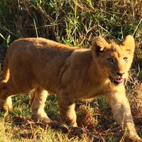 Profile Picture of Sean Kovacs (@sean-kovacs-5) on Quora