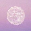 마로에 계이계정 - Twitter Profile Picture of 마로에 계이계정 (@ma_roae) on Twitter