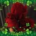 Profile Picture of Patty Rego (@rego620) on Facebook