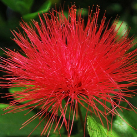 Profile Picture of Makenna Kinsler (@mkinsler) on Poshmark