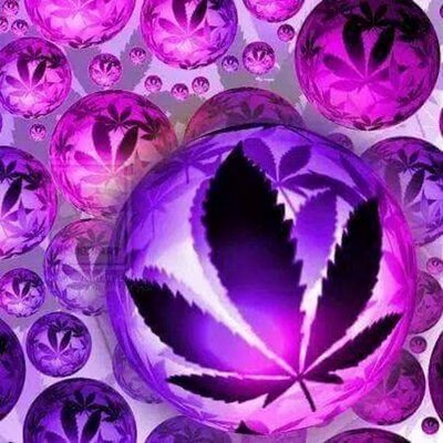 Profile Picture of Alejandro Xolot (@alejandroxolt) on Twitter