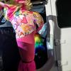 Profile Picture of Chrissy Adams (@@chrissyadams0) on Tiktok