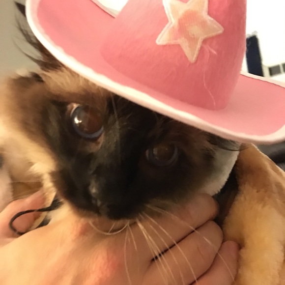 Profile Picture of Addy Thomas (@newmommy81) on Poshmark