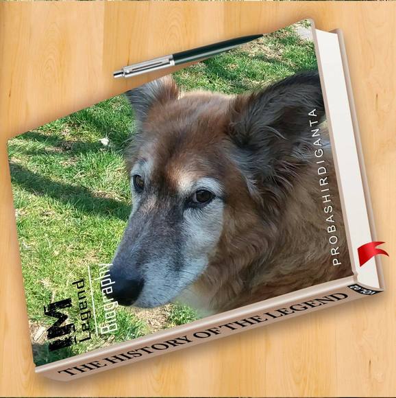 Profile Picture of Isaac Palacios (@isaac24112003) on Poshmark