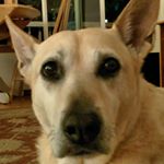 Profile Picture of Joel (@joel.g.theodore) on Instagram