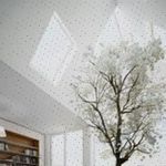 Profile Picture of Alexa Reichmann (@almedagaede171) on Instagram