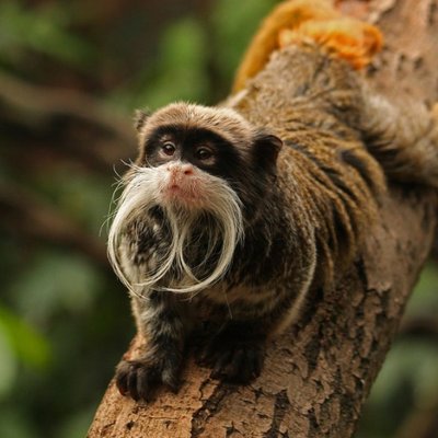 Profile Picture of Sadie Kent (@SadieKentDavis) on Twitter