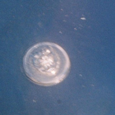 Profile Picture of Jon Callender (@jjccss1231) on Twitter