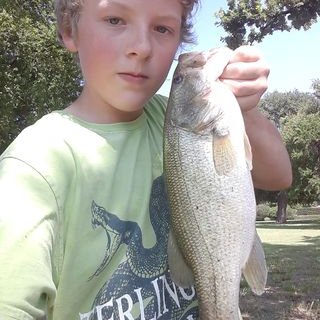 David Maberry - Twitter Profile Picture of David Maberry (@sharkgrater39) on Twitter