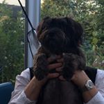 Profile Picture of Stephen Doyle (@studiostephendoyle) on Instagram