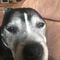 Profile Picture of Joe Lancaster (@joe.lancaster.71653) on Facebook