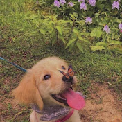 Profile Picture of Shivani Reddy (@shivanireddy8271) on Youtube