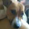 Profile Picture of Amanda Plogger (@amandaplogger) on Tiktok