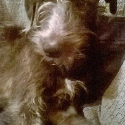 Profile Picture of Stuart Thorpe (@stuartthorpe536) on Twitter