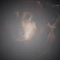 Profile Picture of Howard Townsend (@@valent130288) on Tiktok