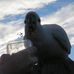 Profile Picture of Benjamin Rosenzweig (@benjamin.rosenzweig.1) on Facebook