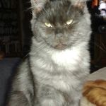 Profile Picture of Inge-lize Richter (@ingelizerichter) on Instagram