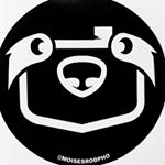 Profile Picture of Moisés Rodríguez (@moisesrodpho) on Instagram