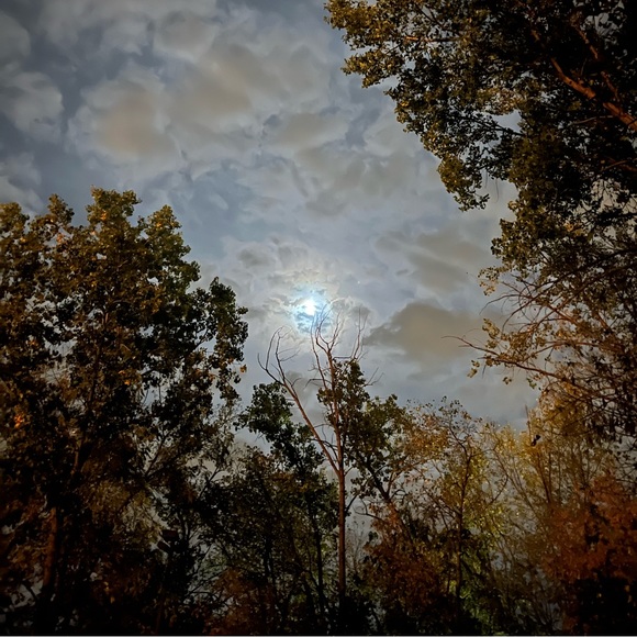 Profile Picture of Leah Rindal (@111eah) on Poshmark