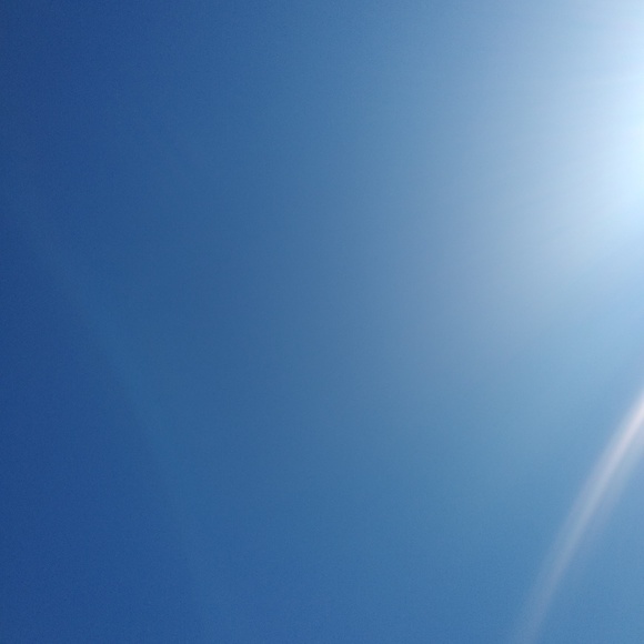 Royal Hardamon - Poshmark Profile Picture of Royal Hardamon (@roymilan17) on Poshmark