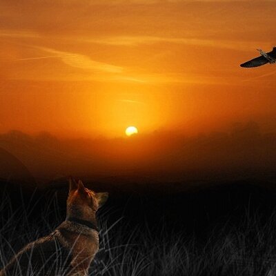 Matthew Laming - Twitter Profile Picture of Matthew Laming (@PORTFOLIO2011) on Twitter