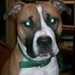 Profile Picture of Martha Reid (@martha.reid.24) on Instagram