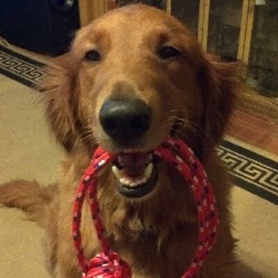 Profile Picture of Phil (@philipcard) on Twitter
