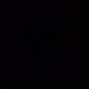 Profile Picture of Mitchell Forster (@Mitchexe-de7mp) on Youtube