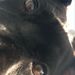 Profile Picture of fal (@fallonoconnor10) on Pinterest