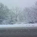 James T - Instagram Profile Picture of James T (@jamesayeghel) on Instagram