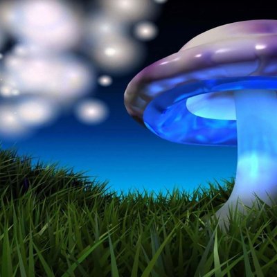 Brandon G Hyden - Twitter Profile Picture of Brandon G Hyden (@The_Fiend01) on Twitter