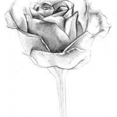 Profile Picture of Lesly Ramirez (@leslyramirez6) on Twitter