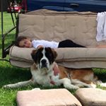 Profile Picture of Roxanne Buss (@bussroxanne) on Instagram