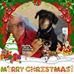 Profile Picture of Edward McKellar (@Edward-McKellar) on Facebook
