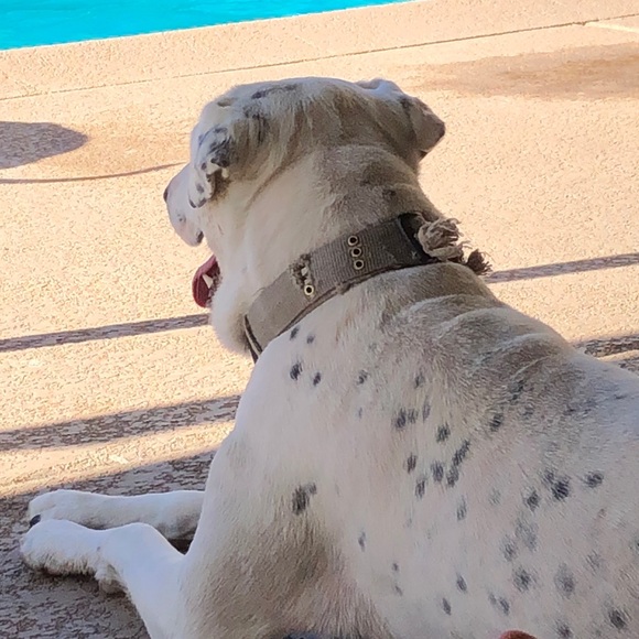 Profile Picture of Naomi Hansen (@nomes567) on Poshmark