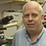Profile Picture of Simon Cross (@simon cross) on Flickr