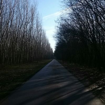 Profile Picture of Kocsis Dávid (@DavidCarters) on Twitter