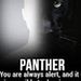 Profile Picture of David Van Why (@davidvanwhy) on Pinterest