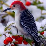 Profile Picture of Eric Glover (@ericglover5249) on Instagram