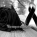 Profile Picture of Carmen Montaño (@carmen.montano.963) on Facebook