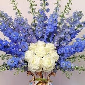 Profile Picture of Nhi Huynh (@NhiHuynh-nn2tg) on Youtube