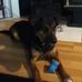Profile Picture of Brady Steeves (@brady.steeves.7) on Facebook
